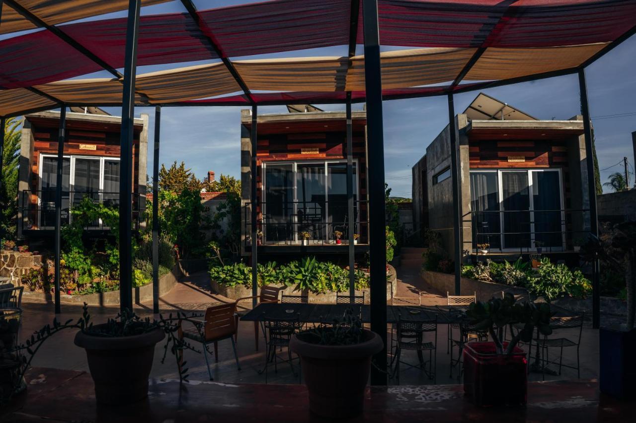Entre Vides Valle de Guadalupe Exterior foto