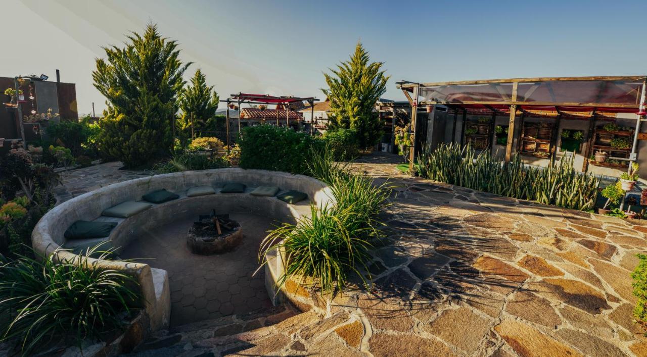 Entre Vides Valle de Guadalupe Exterior foto
