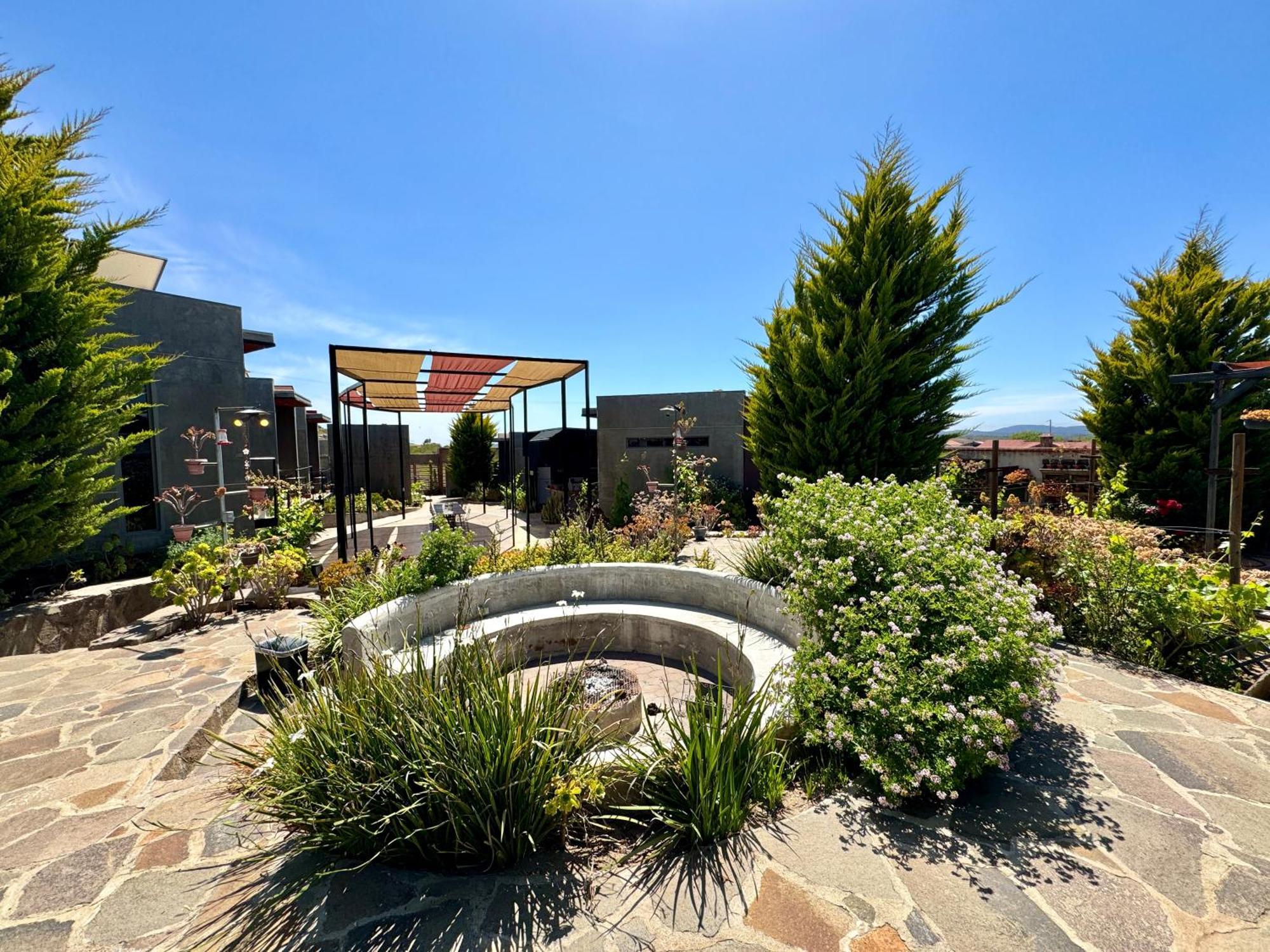 Entre Vides Valle de Guadalupe Exterior foto